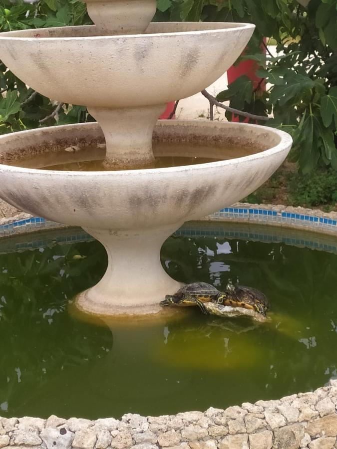 B&B La Seta Rossa Galatone Εξωτερικό φωτογραφία